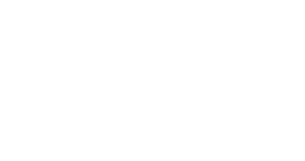 Aries Export